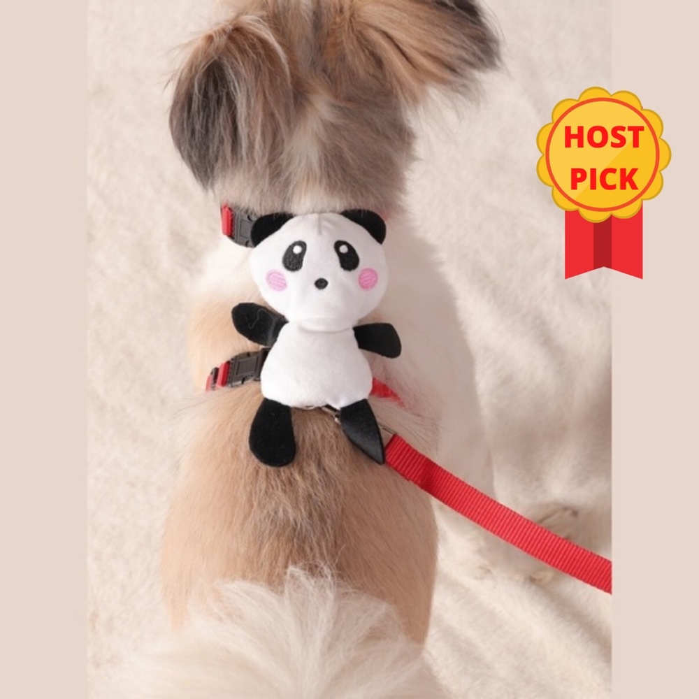 Bear Pet Harness & 1pc Leash